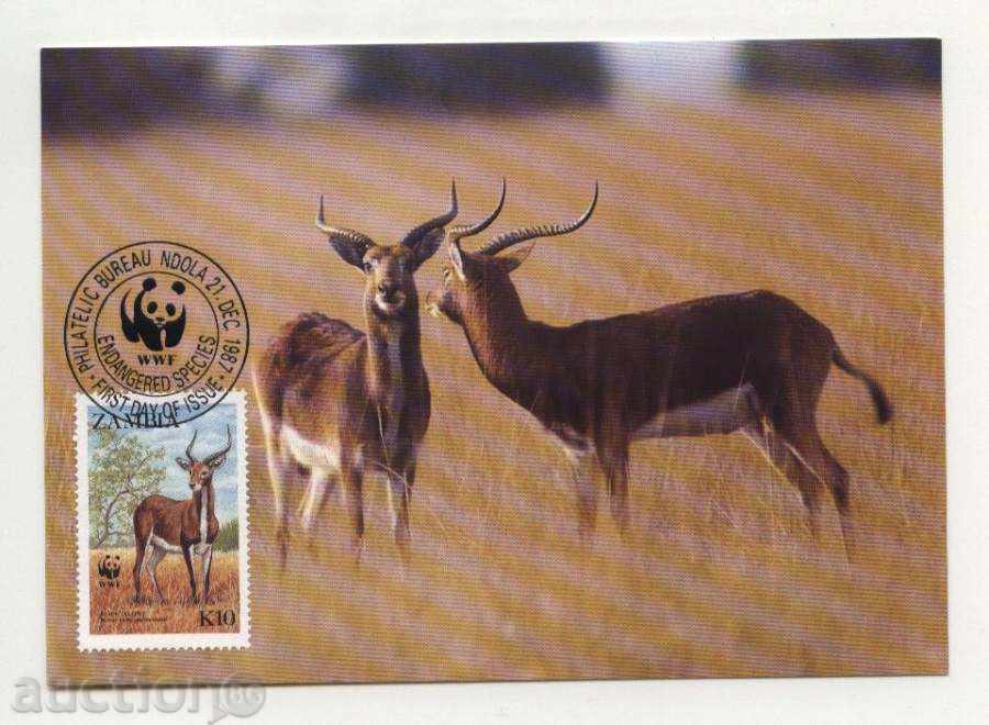 Карти максимум (КМ) WWF Антилопи 1987 от Замбия