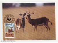 Carduri maxim (KM) WWF Antilope 1987 din Zambia