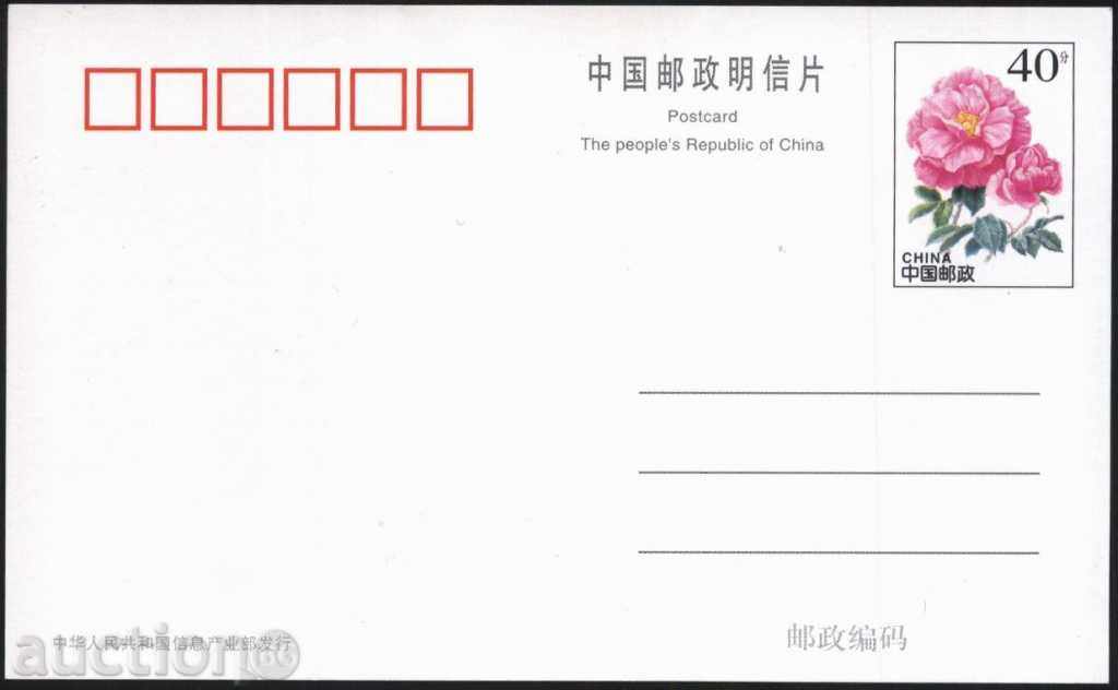 Postcard Monkey 1999 with original brand from China with price 1.50 BGN | € 0.77 Postcard Monkey 1999 with original brand from China with price 1.50 BGN | € 0.77