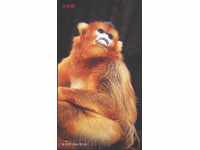 Пощенска картичка Маймуна 1999 с оригинална марка  от Китай