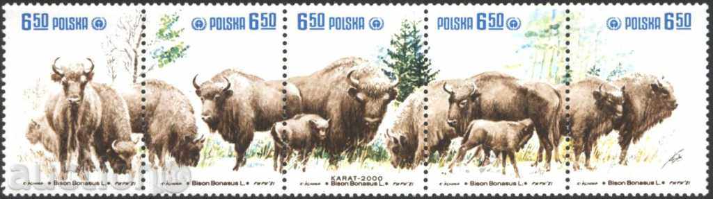 Чисти марки Фауна Зубри 1981 от Полша