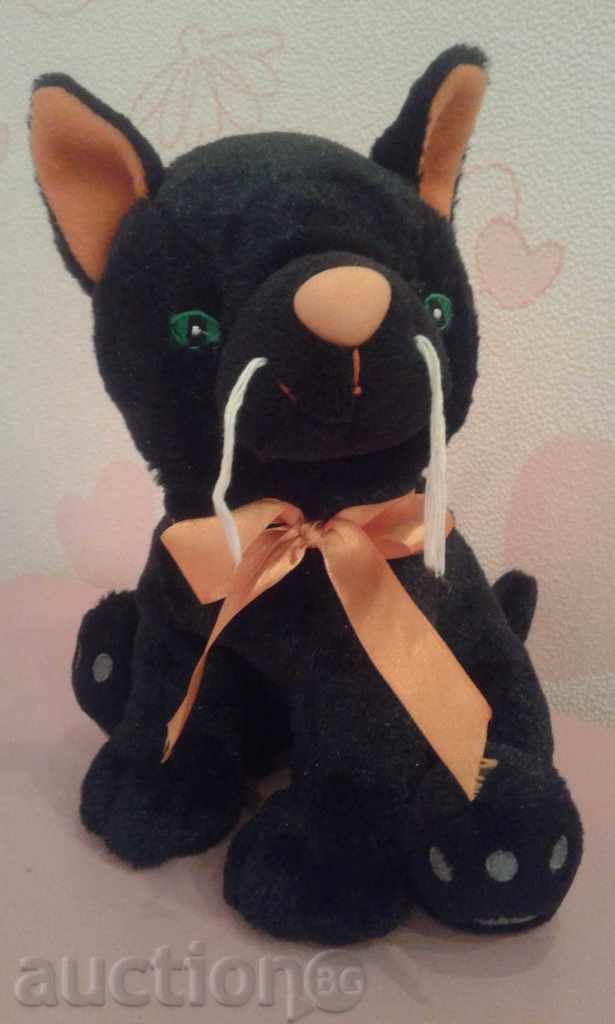 βελούδινα μαύρο γατάκι