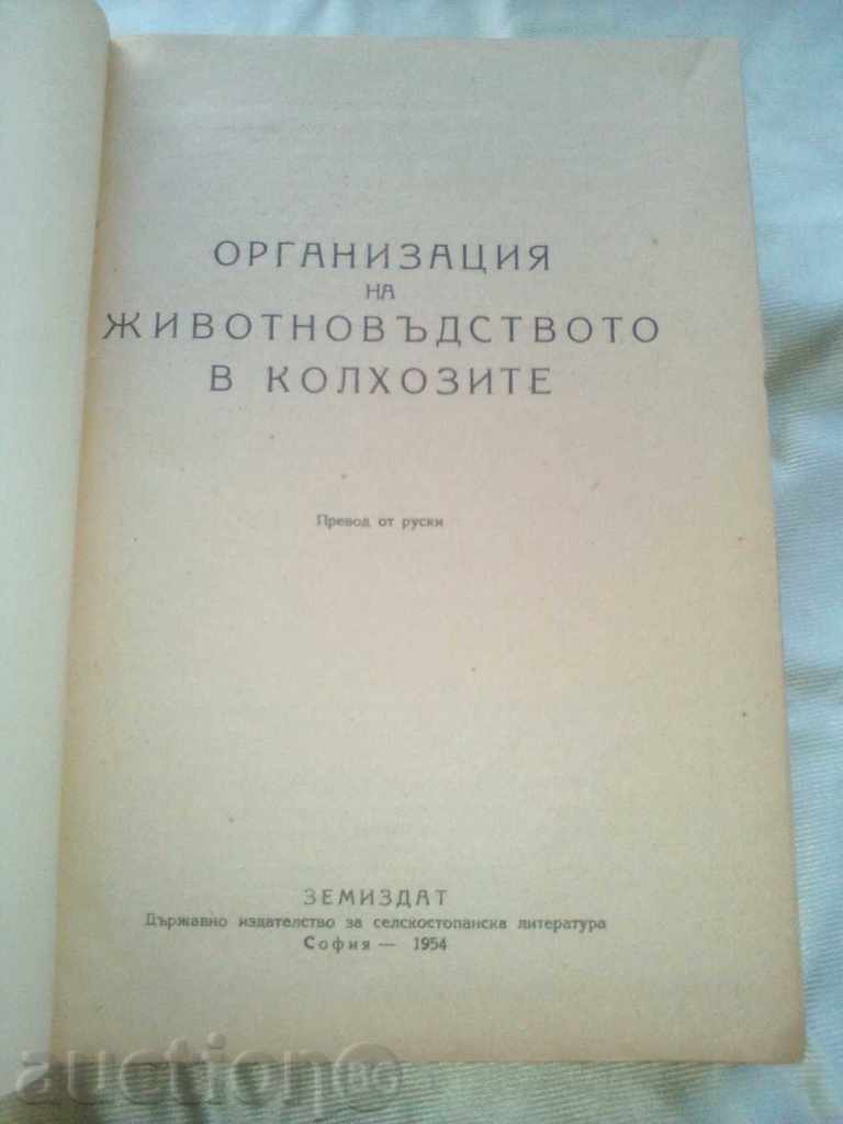 Auction Organization of animal husbandry in the colchhozs 1954. Zemzemat Auction Organization of animal husbandry in the colchhozs 1954. Zemzemat