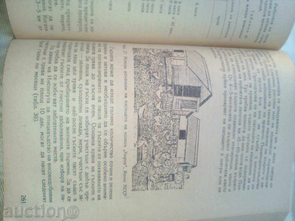 Organization of animal husbandry in the colchhozs 1954. Zemzemat - 5 Organization of animal husbandry in the colchhozs 1954. Zemzemat - 5