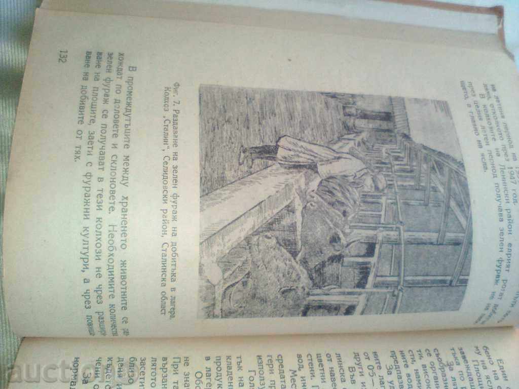 Organization of animal husbandry in the colchhozs 1954. Zemzemat - 6 Organization of animal husbandry in the colchhozs 1954. Zemzemat - 6