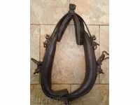 HAMMOTRA CAVALIE FRANȚĂ - 1892