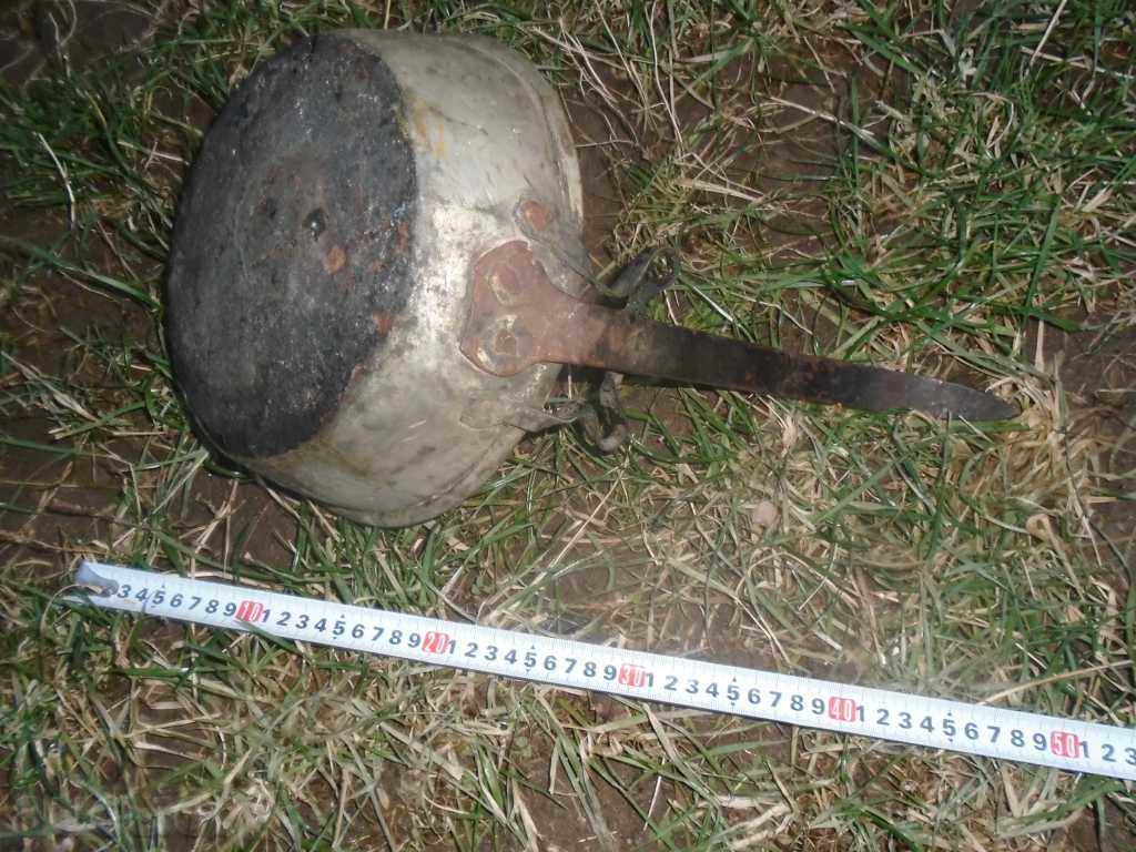 Delivery of LARGE STAR ROSE BACTERIAN TIGAN Delivery of LARGE STAR ROSE BACTERIAN TIGAN