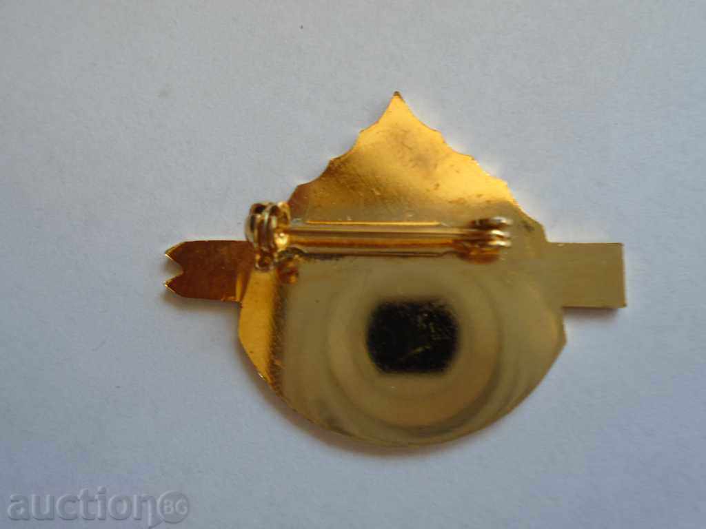 Auction BADGE - SKI SCHOOL STANDARD RACE Auction BADGE - SKI SCHOOL STANDARD RACE