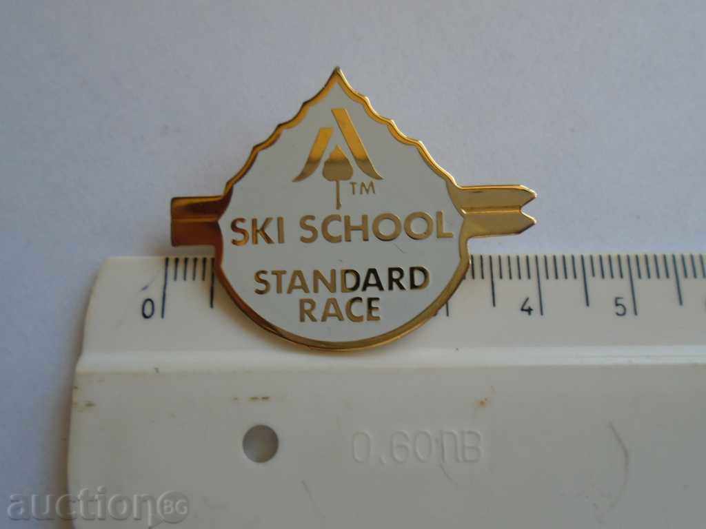Delivery of BADGE - SKI SCHOOL STANDARD RACE Delivery of BADGE - SKI SCHOOL STANDARD RACE