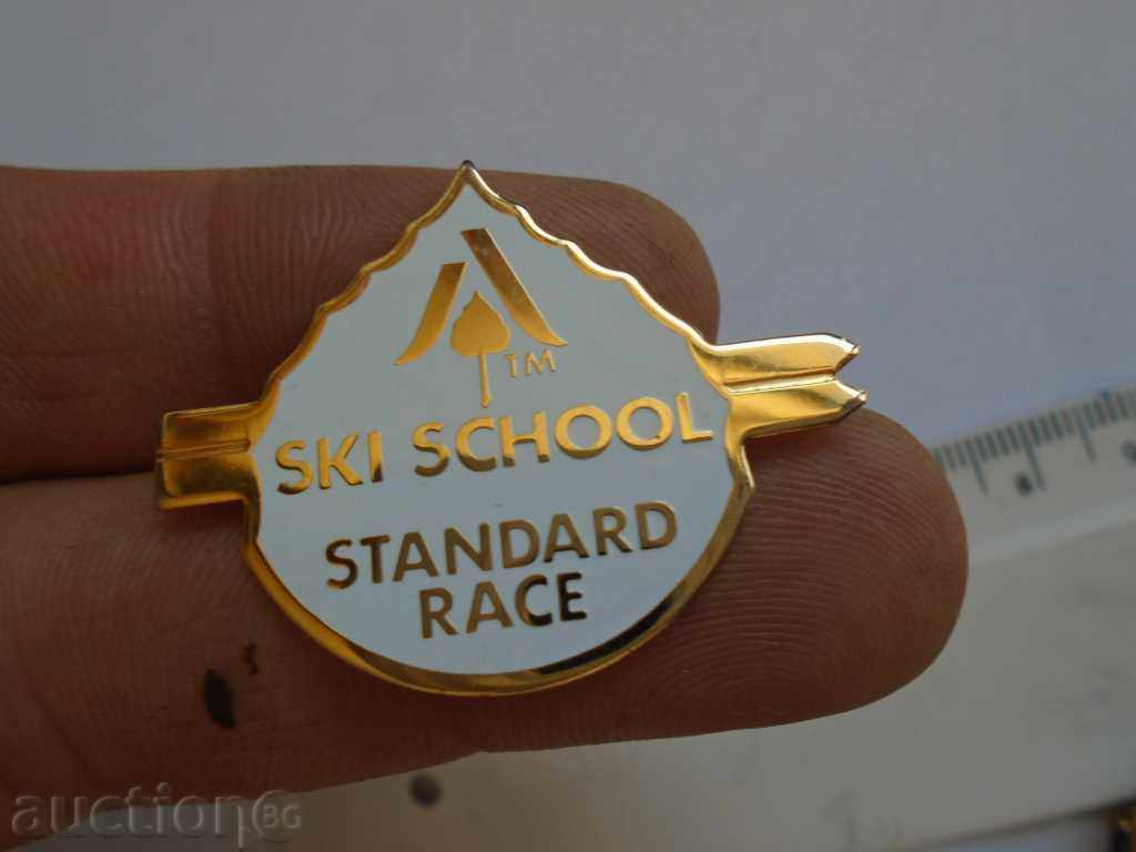 BADGE - SKI SCHOOL STANDARD RACE - 6 BADGE - SKI SCHOOL STANDARD RACE - 6