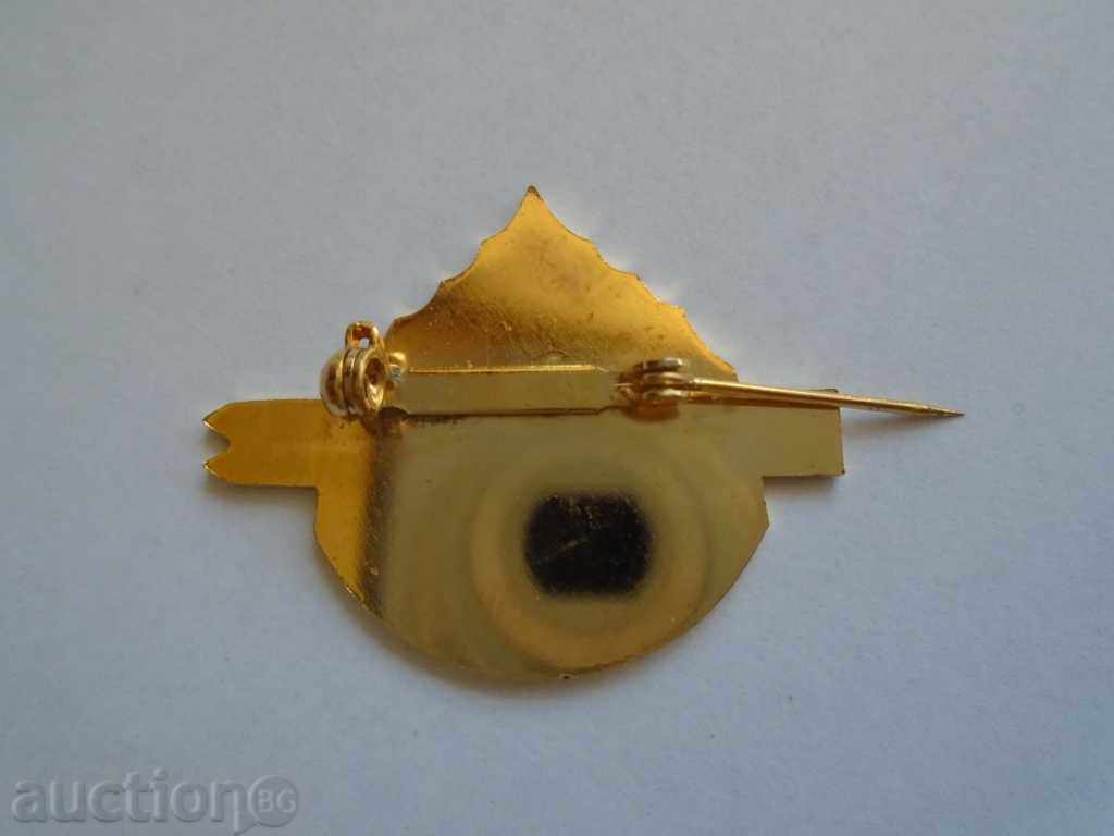 BADGE - SKI SCHOOL STANDARD RACE - 7 BADGE - SKI SCHOOL STANDARD RACE - 7