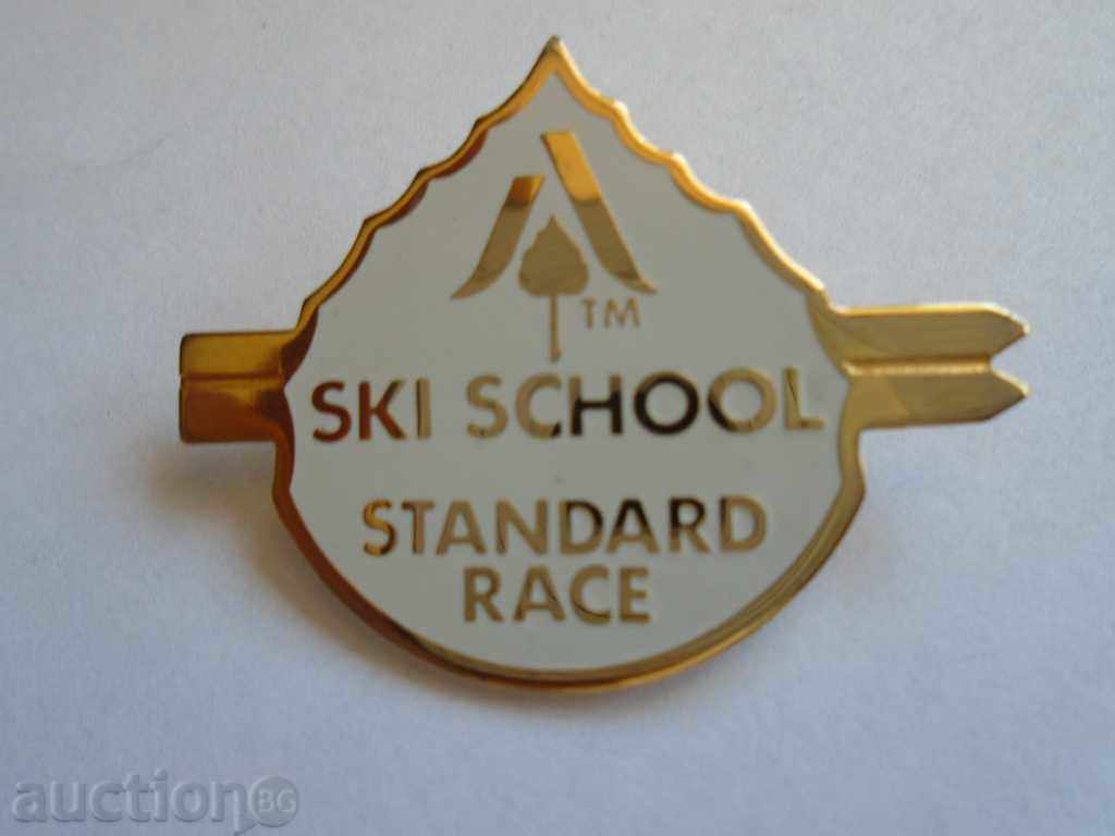 BADGE - SKI SCHOOL STANDARD RACE