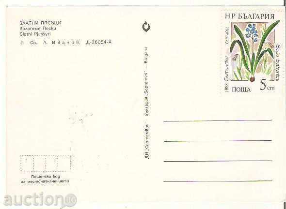 Card Bulgaria Varna Golden Sands View 28 * with price 0.70 BGN | € 0.36 Card Bulgaria Varna Golden Sands View 28 * with price 0.70 BGN | € 0.36