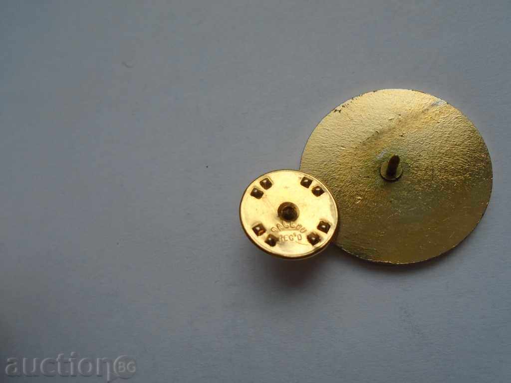 Delivery of USA - COLLEGIATE SPORTS COUNCIL Delivery of USA - COLLEGIATE SPORTS COUNCIL