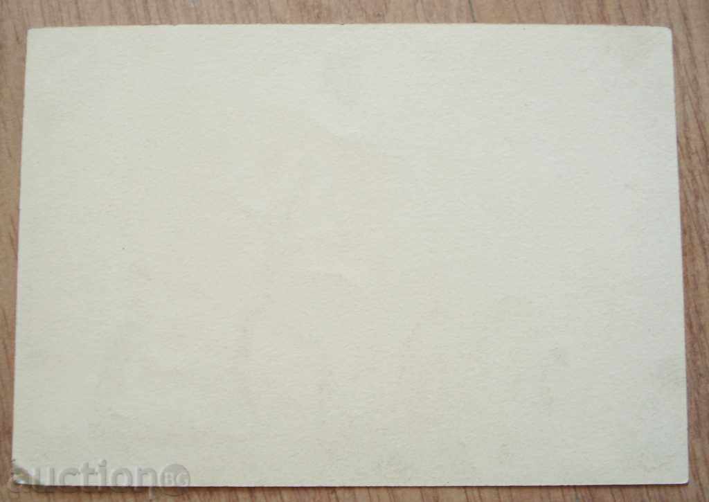 Delivery of Cartoon Rock & Roll T-Shirt P.18 / 13cm Delivery of Cartoon Rock & Roll T-Shirt P.18 / 13cm