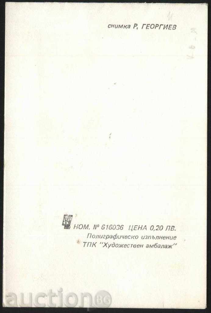 Картичка (двойна) Кокичета, Пролет от България с цена € 0.51 | 1.00 лв. Картичка (двойна) Кокичета, Пролет от България с цена € 0.51 | 1.00 лв.