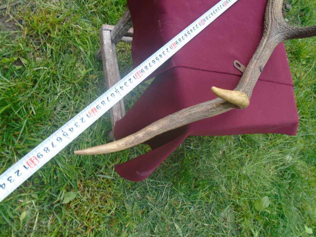 Μεγάλο παλιό κέρατα κρεμάστρες - ΑΡΙΣΤΗ με τιμή 85.50 BGN | € 43.72