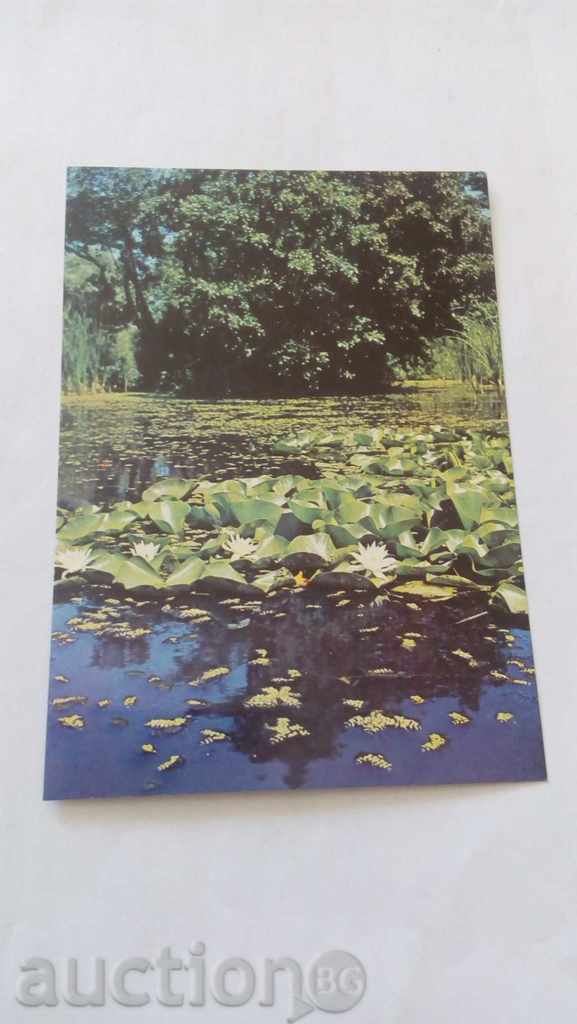 Пощенска картичка Река Ропотамо 1982