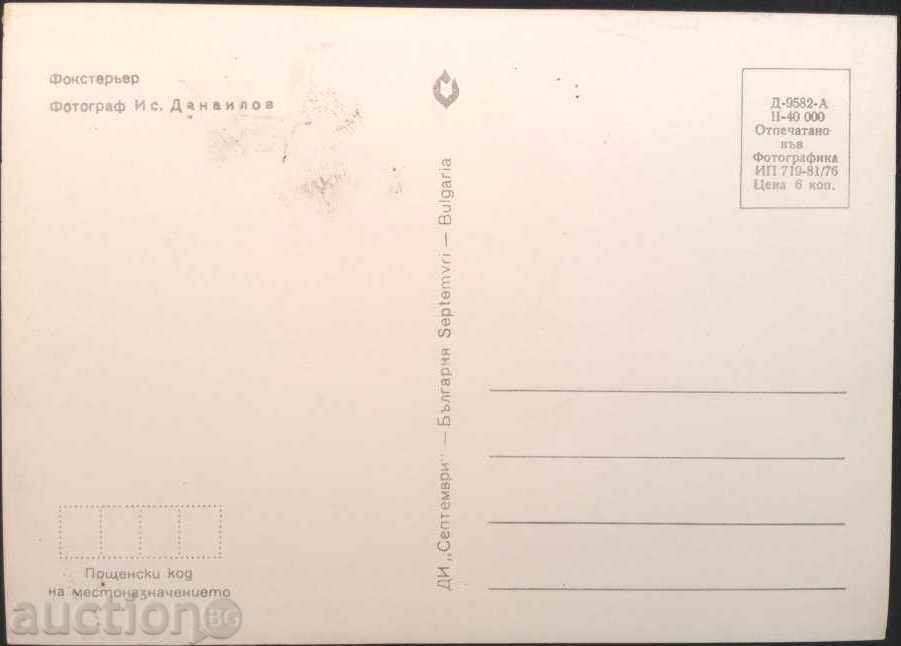 Postcard Dog 1976 from Bulgaria with price 1.00 BGN | € 0.51 Postcard Dog 1976 from Bulgaria with price 1.00 BGN | € 0.51