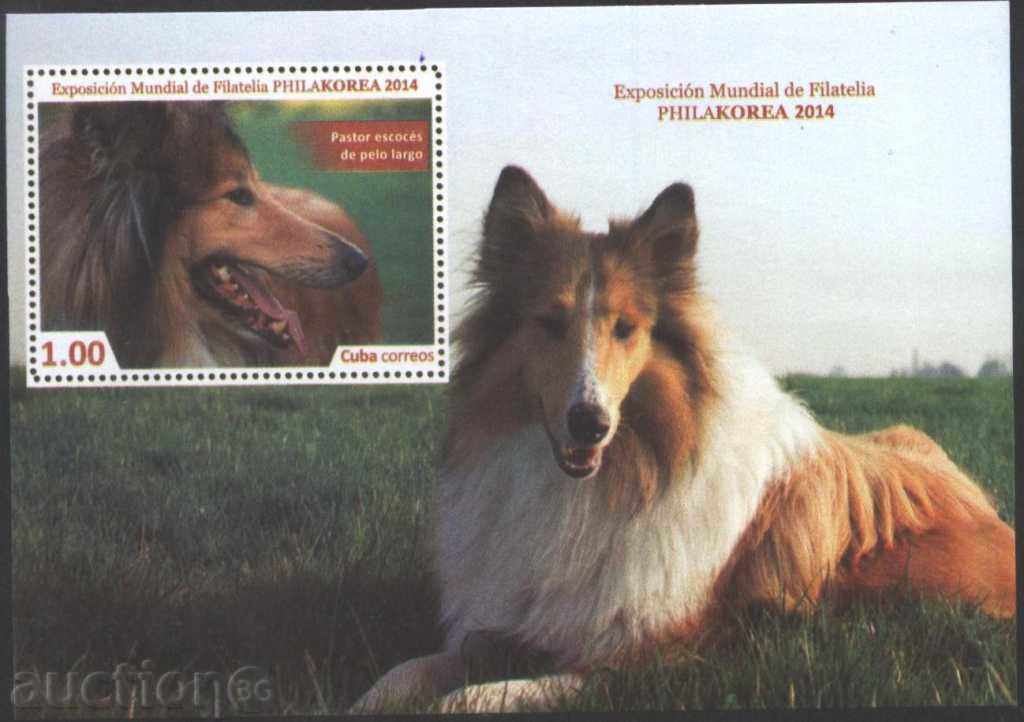 Câini bloc curat din Cuba, 2014