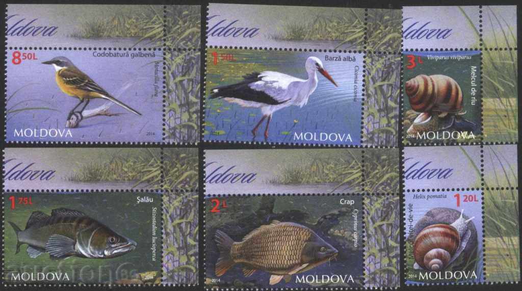 Чисти марки Фауна, Птици, Риби, Охлюви  2014  от Молдова