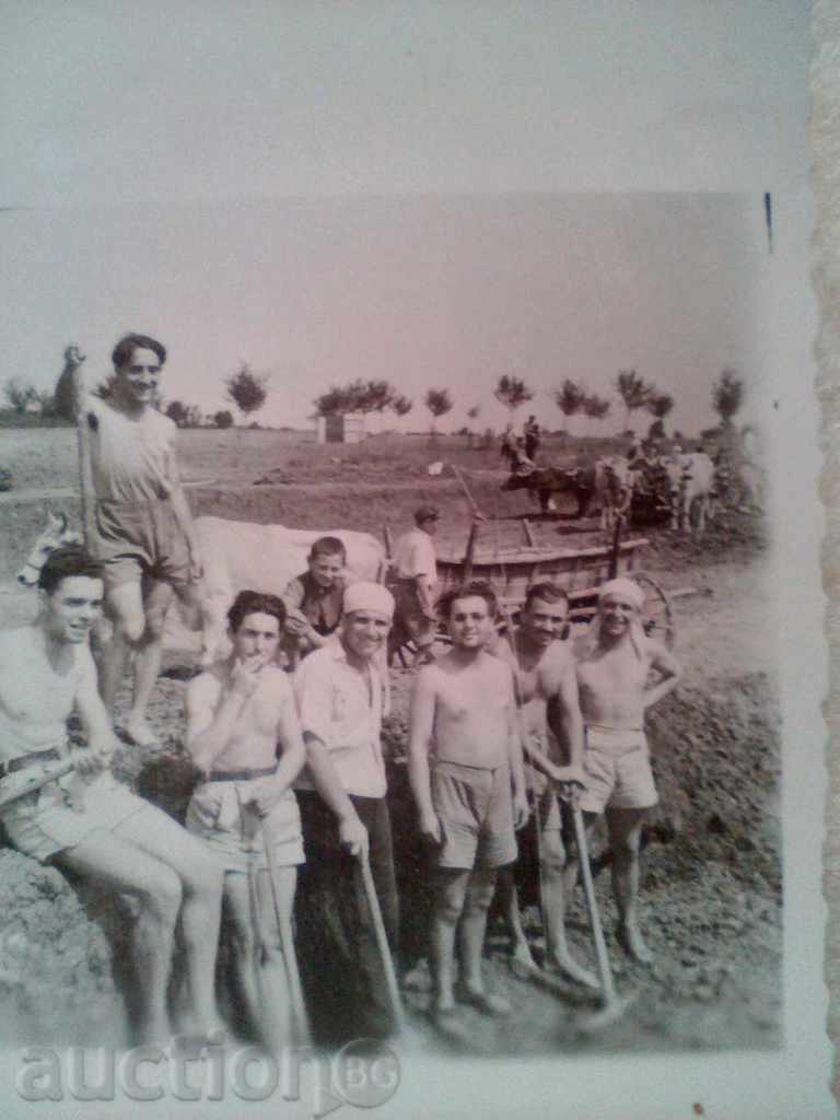 Licitație Lot fotografii vechi de carute de boi alege lopeți 1939 Licitație Lot fotografii vechi de carute de boi alege lopeți 1939