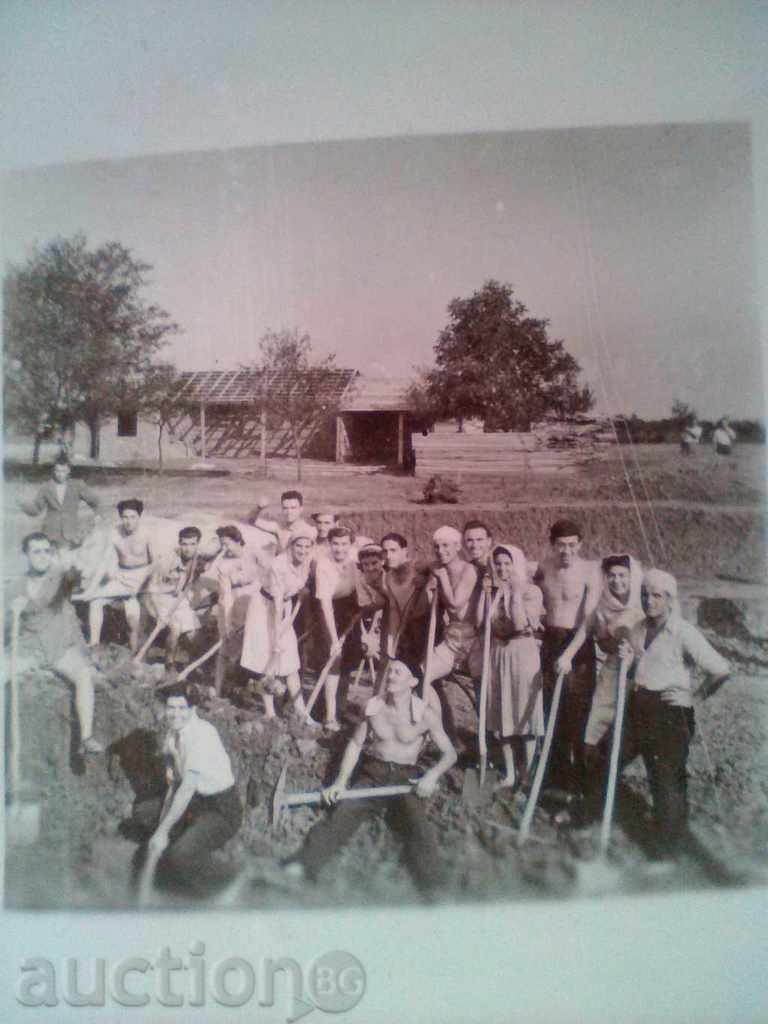 Livrarea Lot fotografii vechi de carute de boi alege lopeți 1939 Livrarea Lot fotografii vechi de carute de boi alege lopeți 1939