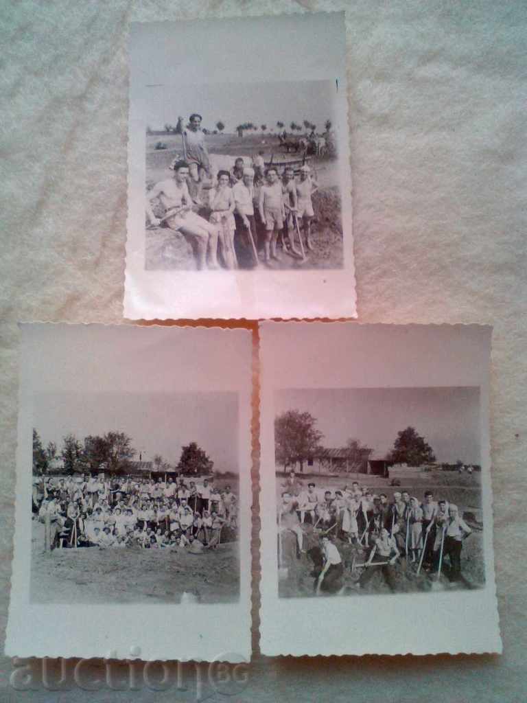 Παρτίδα παλιές φωτογραφίες της καρότσια βόδια παίρνει φτυάρια 1939