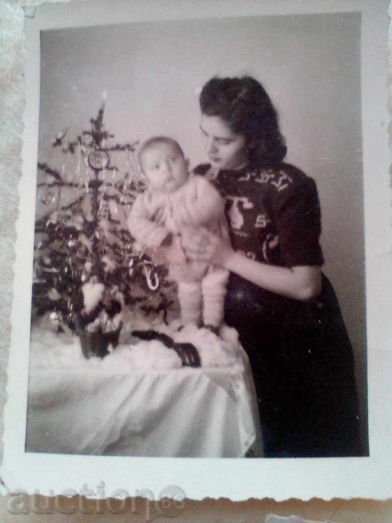 Δημοπρασία Παρτίδα παλιές φωτογραφίες δέντρο survachka 1946. Δημοπρασία Παρτίδα παλιές φωτογραφίες δέντρο survachka 1946.