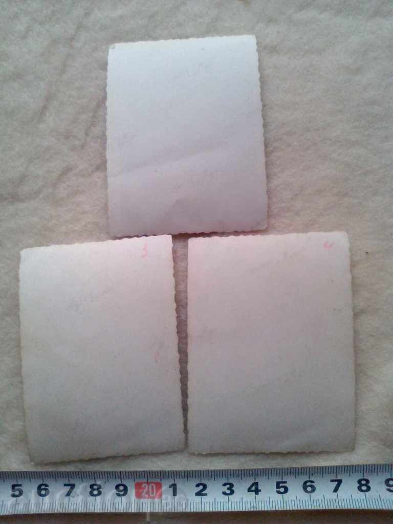 Παράδοση Παρτίδα παλιές φωτογραφίες δέντρο survachka 1946. Παράδοση Παρτίδα παλιές φωτογραφίες δέντρο survachka 1946.