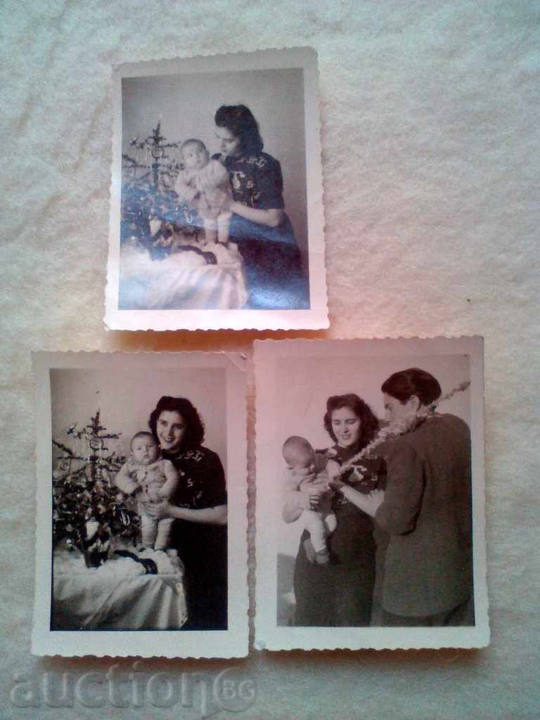 Παρτίδα παλιές φωτογραφίες δέντρο survachka 1946.
