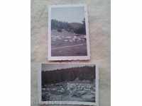 Φωτογραφίες Rakitovo οροσειρά της Ροδόπης κοπάδι που βόσκουν το 1945