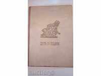 Sofronii Βράτσα - Η ζωή και τα βάσανα