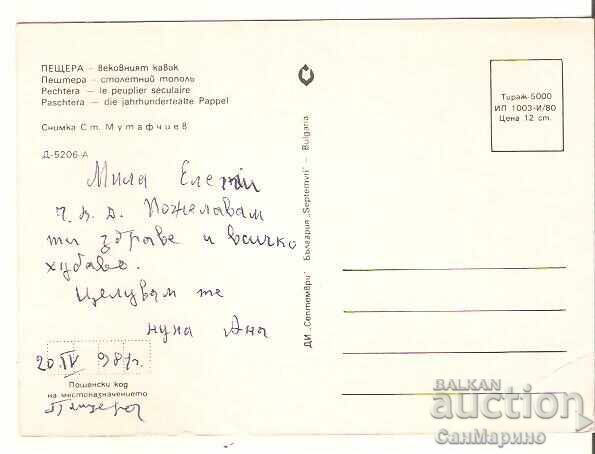 Картичка  България  Пещера Вековният кавак** с цена € 0.40 | 0.78 лв.