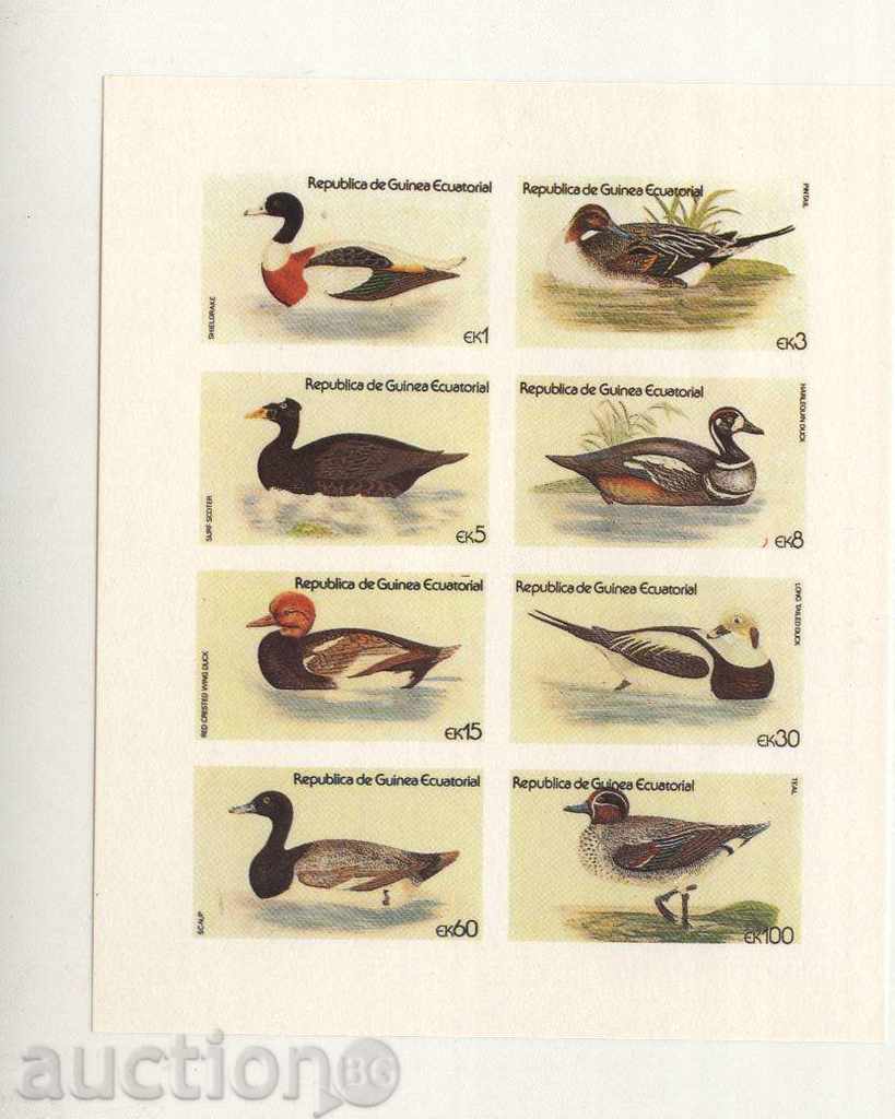 mărci curate păsări Ducks 1978 din Guineea Ecuatorială