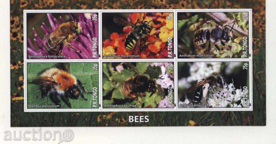 Καθαρίστε Μέλισσες μπλοκ 2011 Τόνγκα