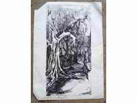 1043 Autor Necunoscut cerneală Pădure R.20 / 29 cm