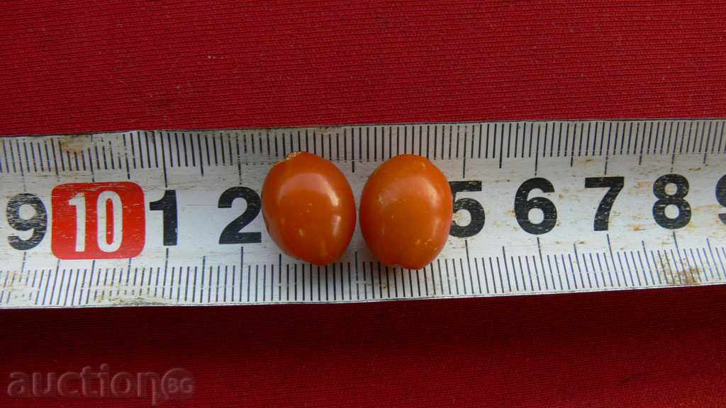 SKIN CREAM with price 50.00 BGN | € 25.56