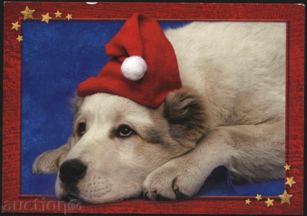 Postcard Etonian Dog
