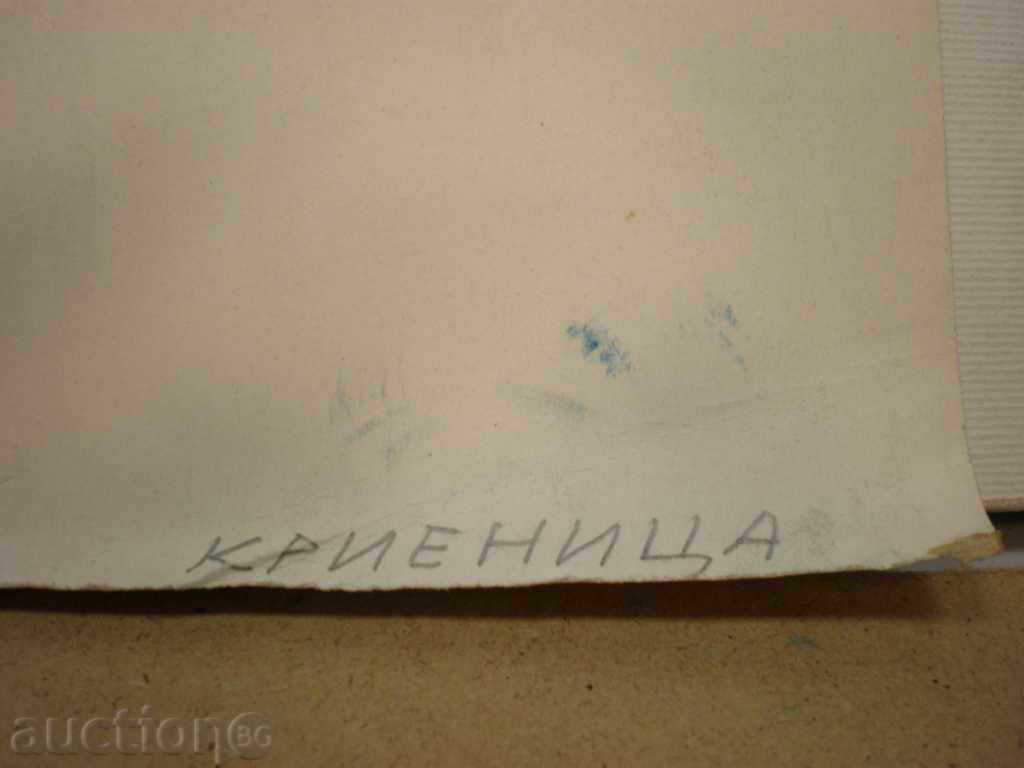 карандаш-шарж-туш,Цветан Цеков с цена € 40.00 | 78.23 лв.