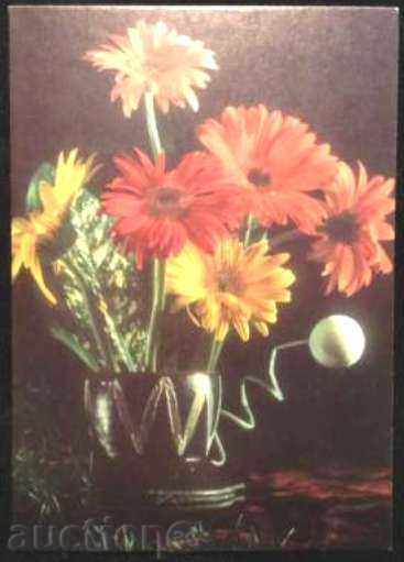 Postcard Flowers Gerberi from Bulgaria