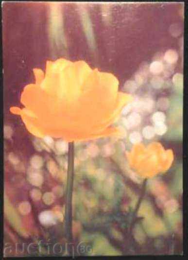 Пощенска картичка Цветя 1979 от България