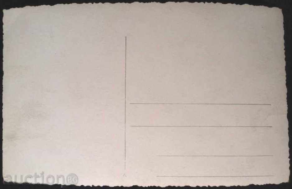 Картичка - Снимка Деца, Детска градина от България с цена 3.00 лв. | € 1.53 Картичка - Снимка Деца, Детска градина от България с цена 3.00 лв. | € 1.53