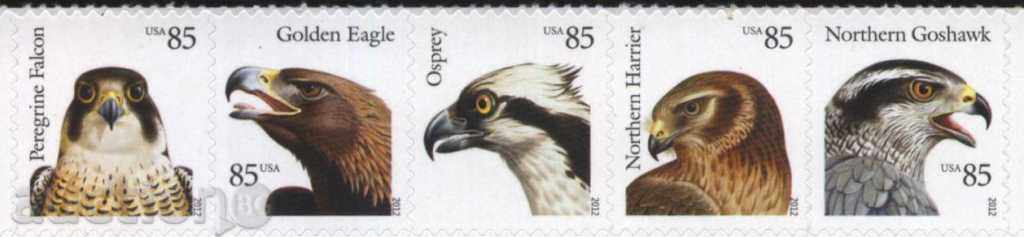 Καθαρίστε τα σήματα Πουλιά Orly 2012 ΗΠΑ