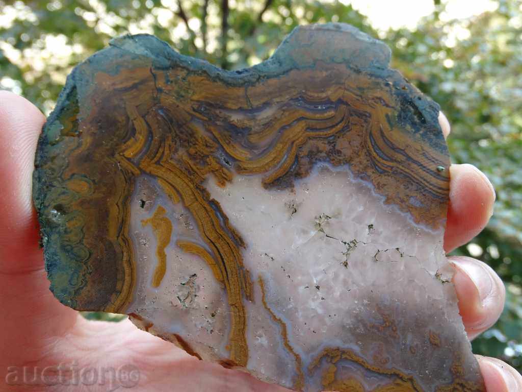 Orpheus Agate with price 60.00 BGN | € 30.68 Orpheus Agate with price 60.00 BGN | € 30.68