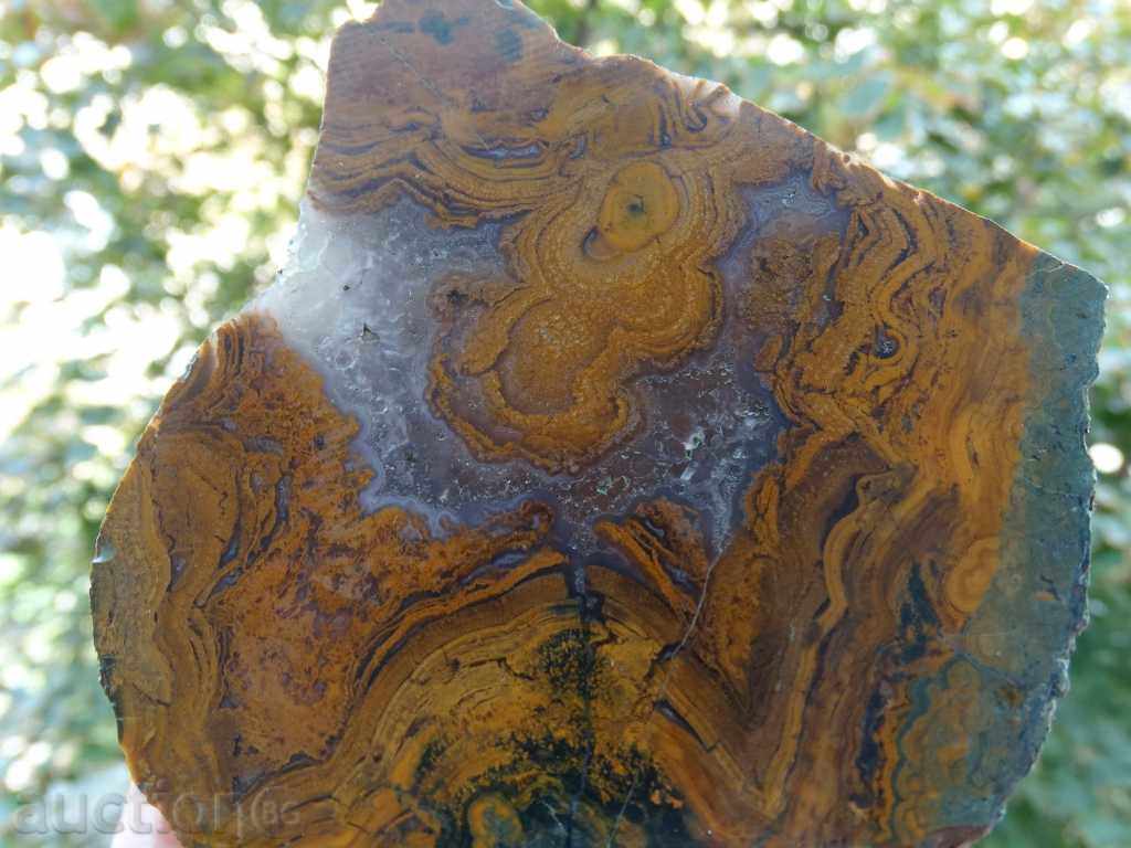 Auction Orpheus Agate Auction Orpheus Agate