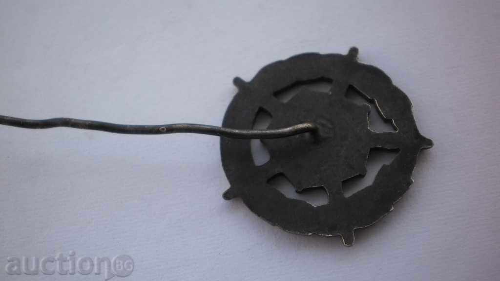 Livrarea insigne Foarte rare Partizanin Macedonia