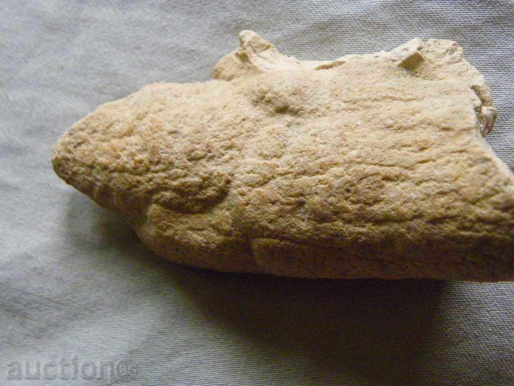 Auction Fossilized imprint of twig Auction Fossilized imprint of twig