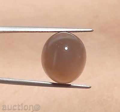 σπαθί με τιμή 29.99 BGN | € 15.33 σπαθί με τιμή 29.99 BGN | € 15.33