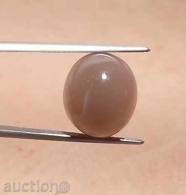 Δημοπρασία σπαθί Δημοπρασία σπαθί